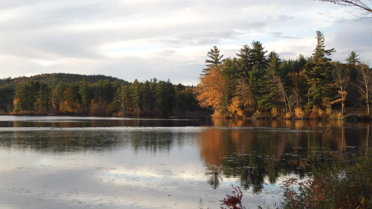 Hawkins Pond reflection