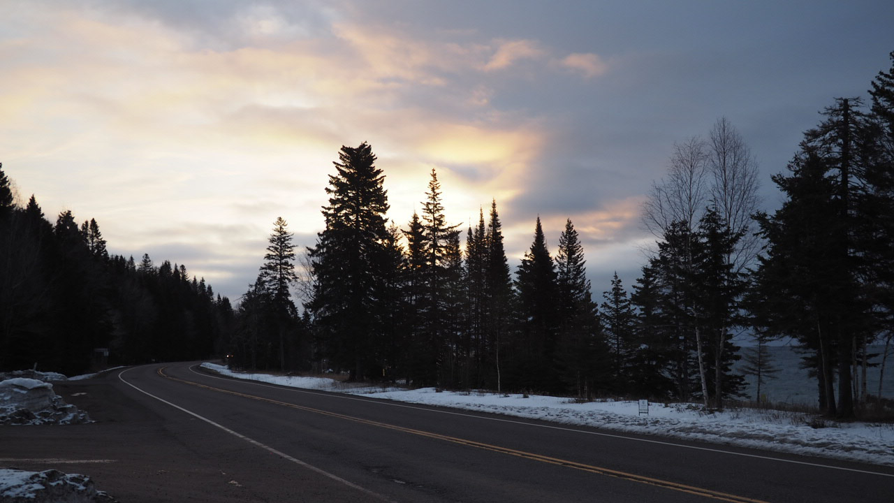 Forest silhouette at dusk