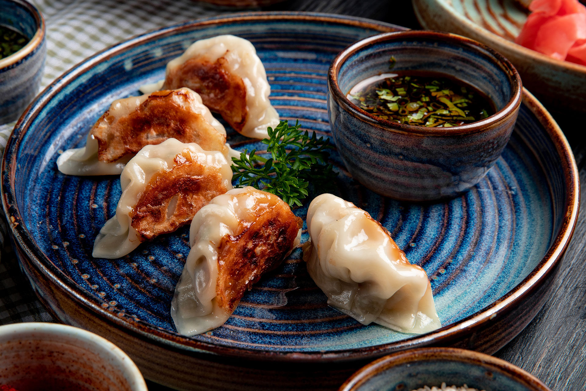 Japanese Gyoza